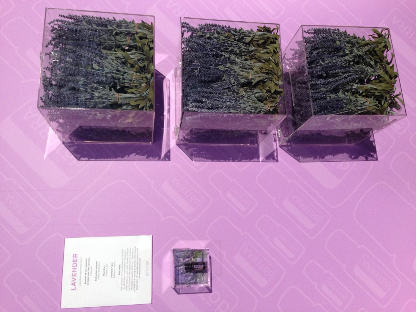 Before image of a lavender display with flatter lighting and a more documentary event-photo feel.