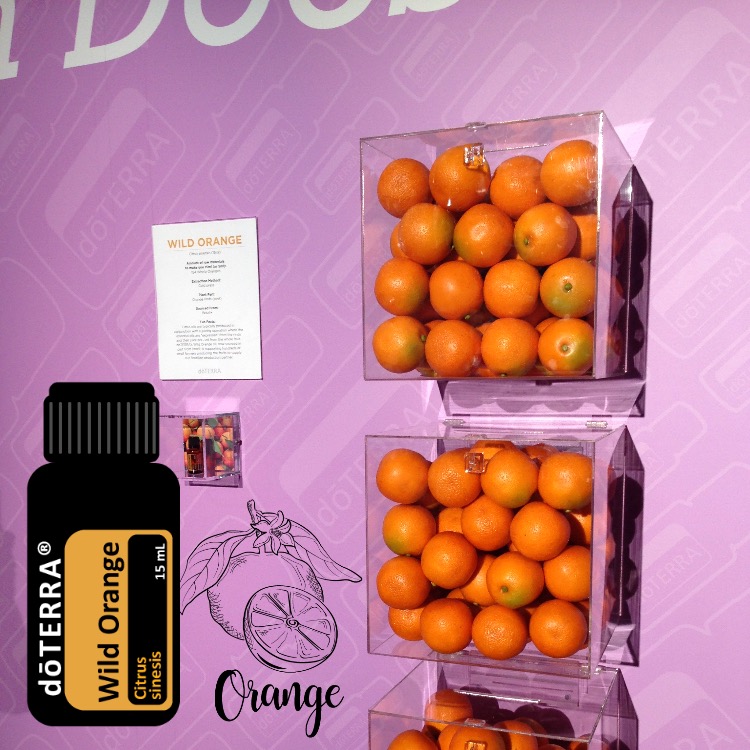 After image of the same wild orange concept transformed into a brighter, more polished branded composition.