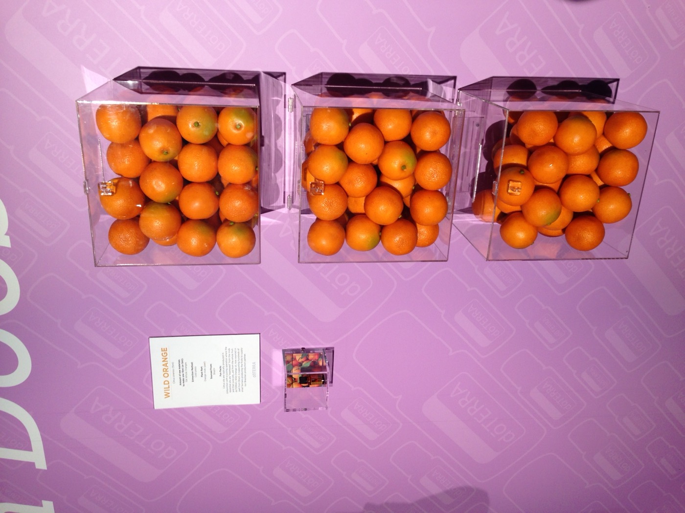 Before image of a wild orange event display photographed in available event lighting.